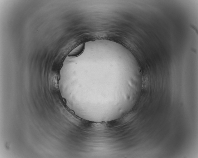 X0000103170238200809051729