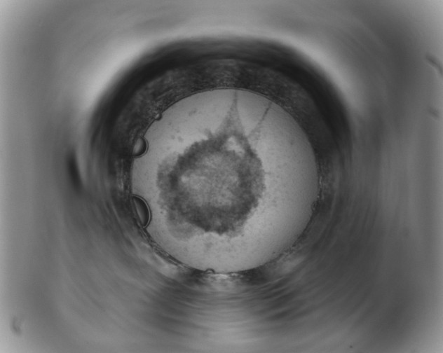 X0000103170239200809051729