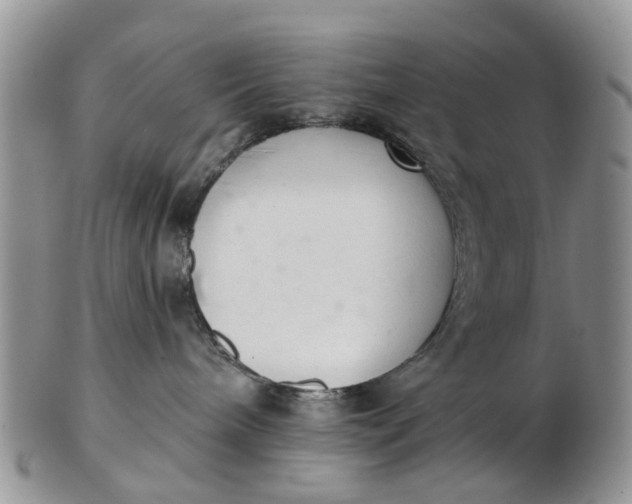 X0000103170240200809051729