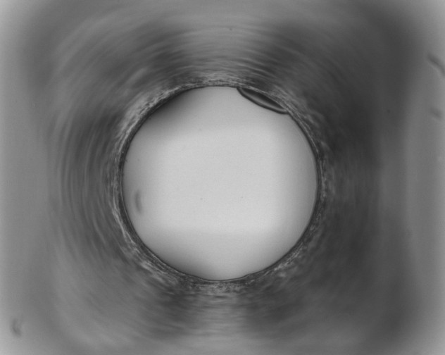 X0000103170241200809051728