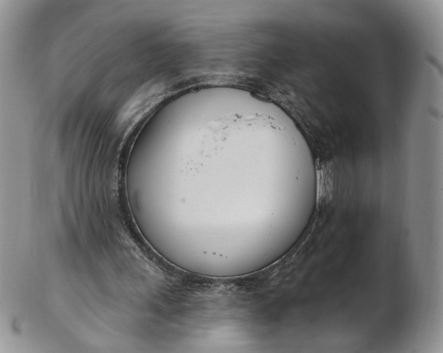 X0000103170243200809051728