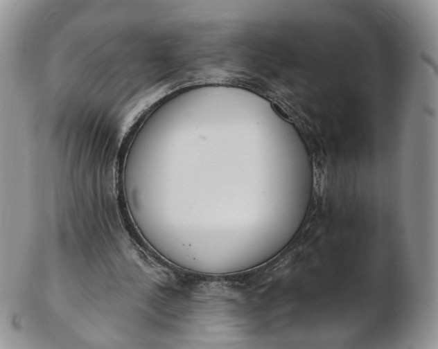 X0000103170244200809051728