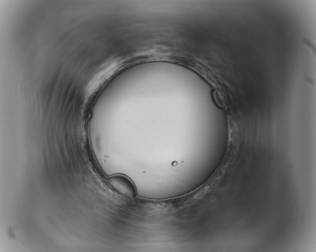 X0000103170245200809051728