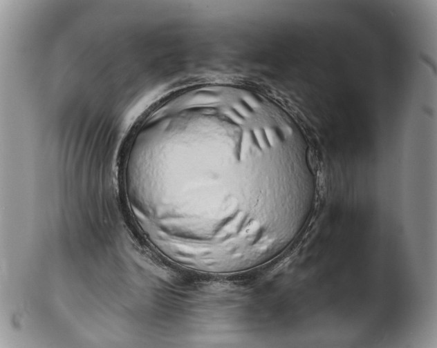 X0000103170246200809051728