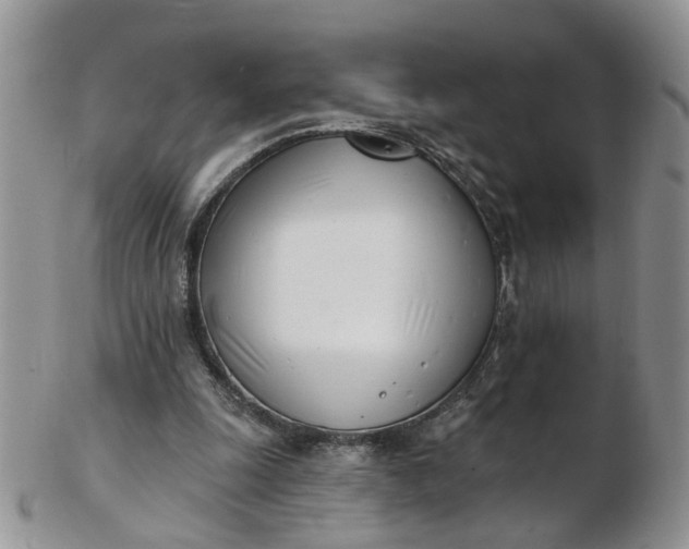 X0000103170247200809051728