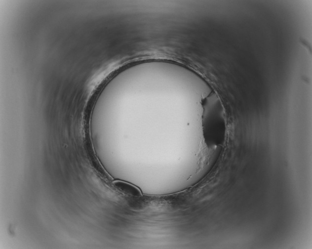 X0000103170248200809051728