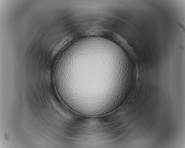 X0000103170250200809051728