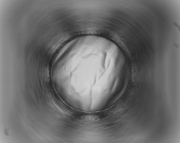 X0000103170251200809051728