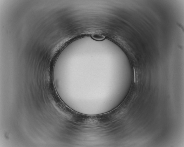 X0000103170252200809051728