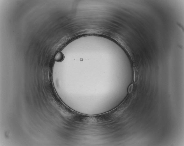 X0000103170253200809051728