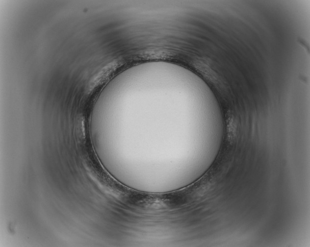 X0000103170254200809051728