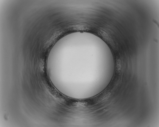 X0000103170255200809051728