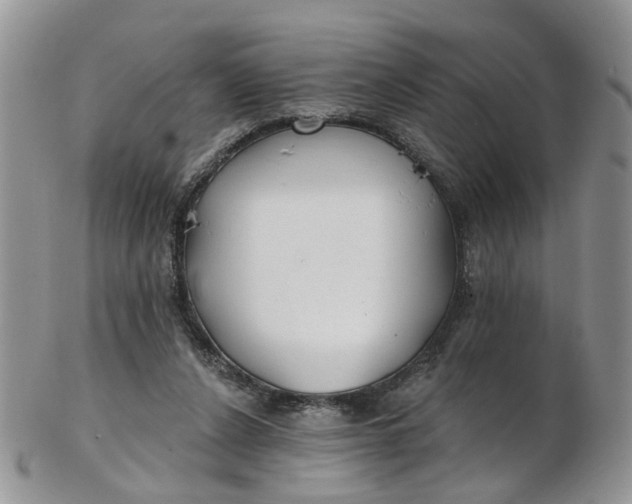 X0000103170256200809051728