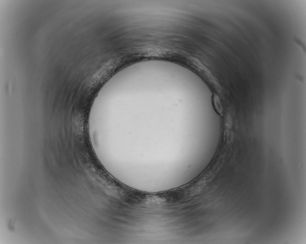 X0000103170257200809051728