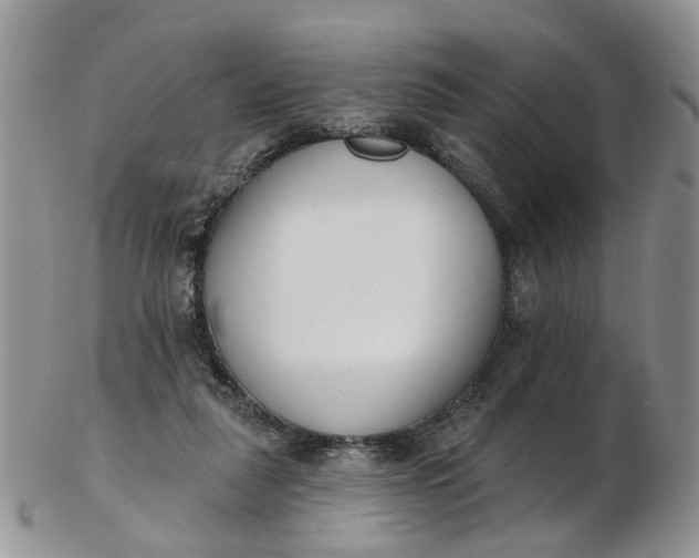 X0000103170259200809051728