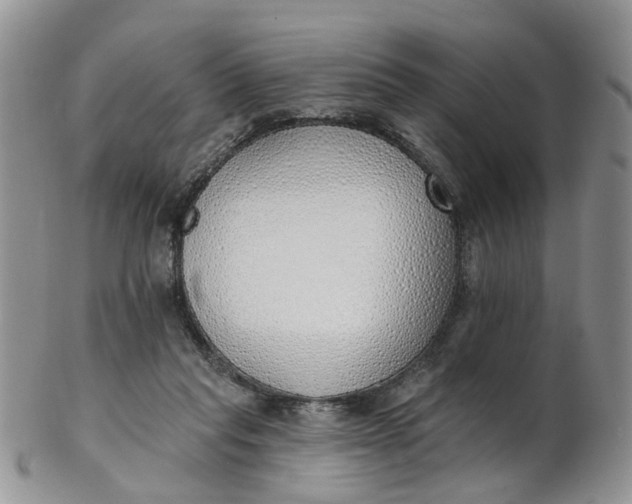 X0000103170261200809051728