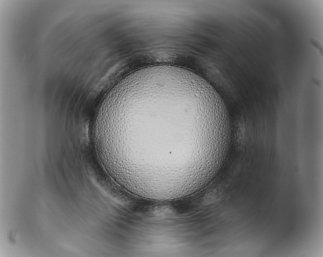 X0000103170262200809051728