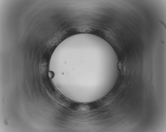 X0000103170263200809051728