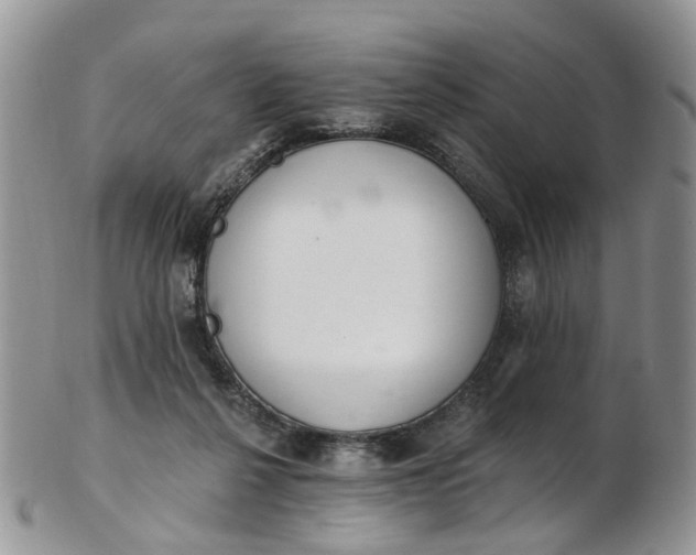 X0000103170264200809051728