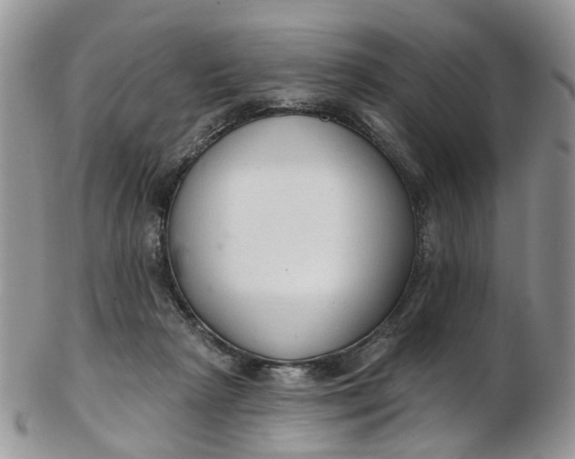 X0000103170265200809051728