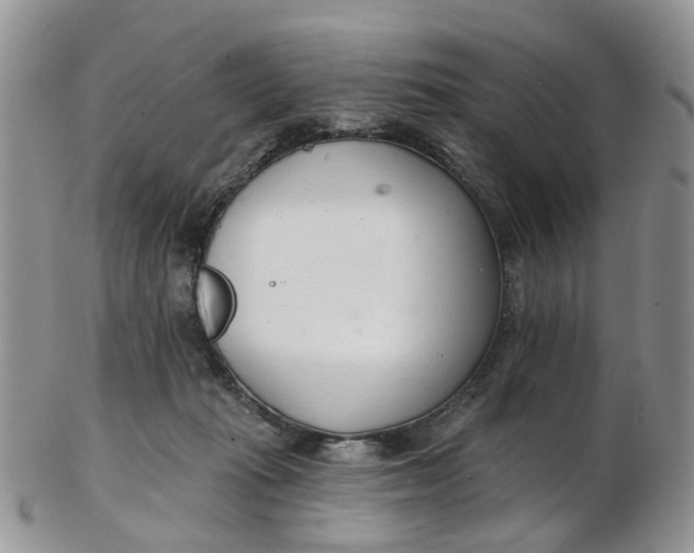 X0000103170269200809051728