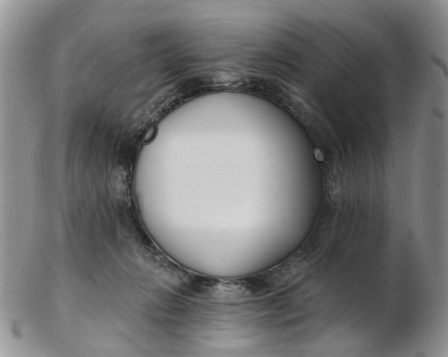 X0000103170270200809051728