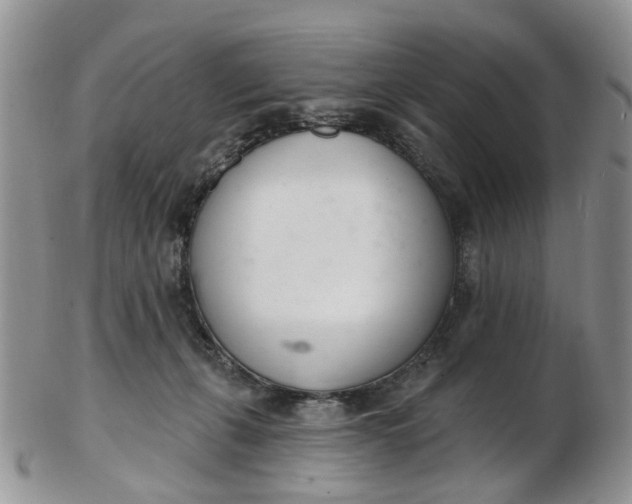 X0000103170271200809051728