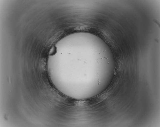 X0000103170273200809051728