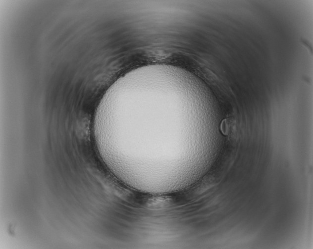 X0000103170274200809051728