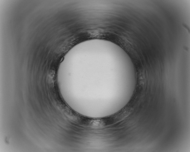 X0000103170275200809051728