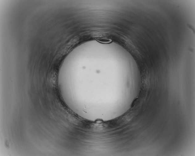 X0000103170277200809051728