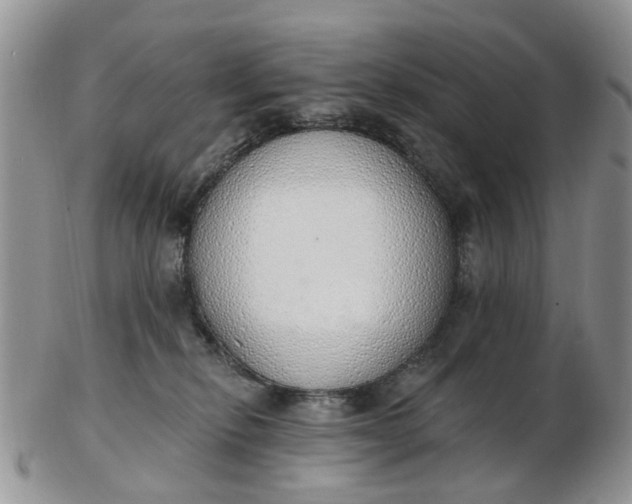 X0000103170278200809051728