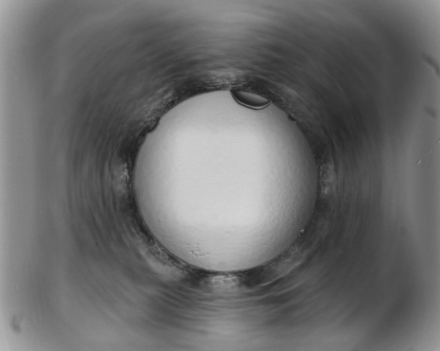 X0000103170279200809051728