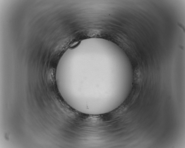 X0000103170280200809051728