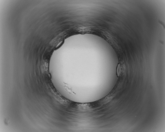 X0000103170281200809051728