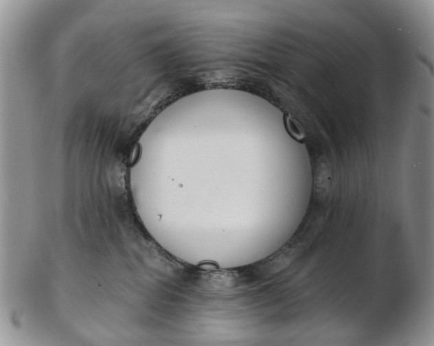 X0000103170282200809051728