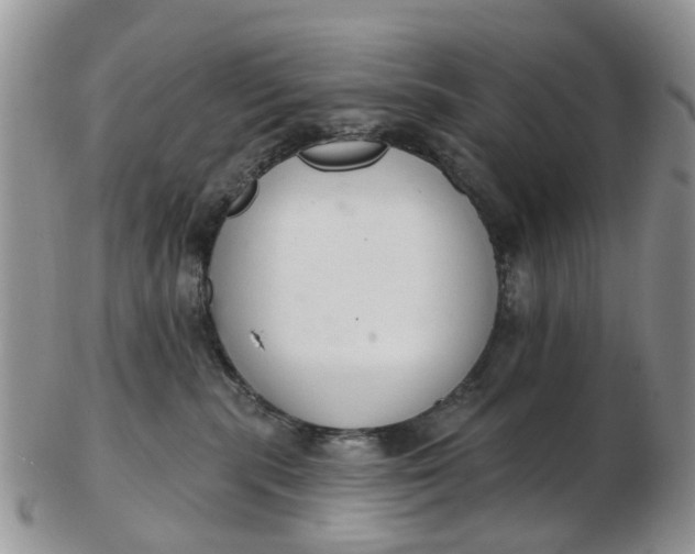 X0000103170283200809051728