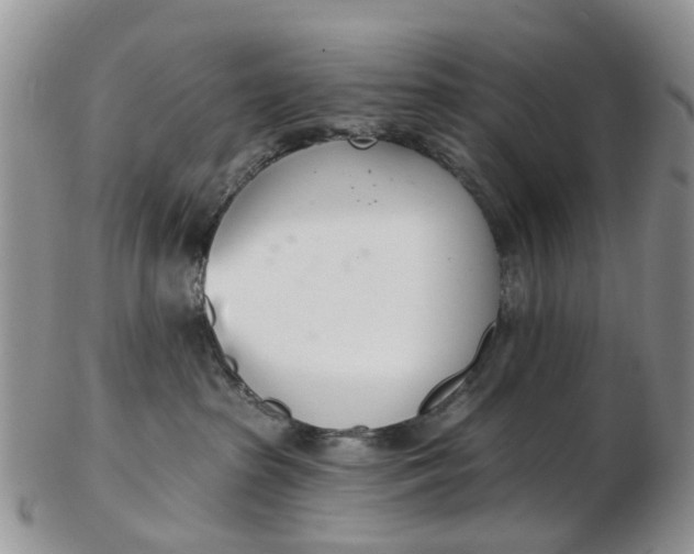 X0000103170285200809051729