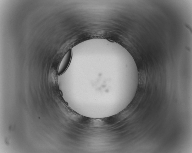 X0000103170287200809051729