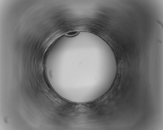 X0000103170290200809051728