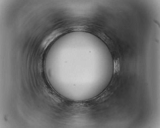 X0000103170291200809051728