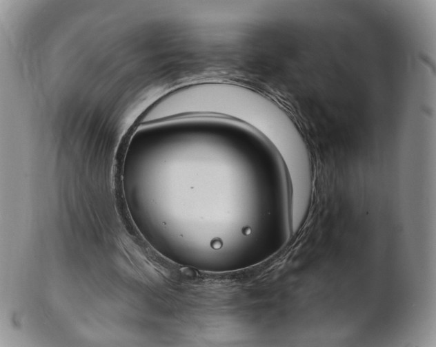 X0000103170292200809051728