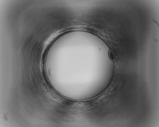 X0000103170294200809051728