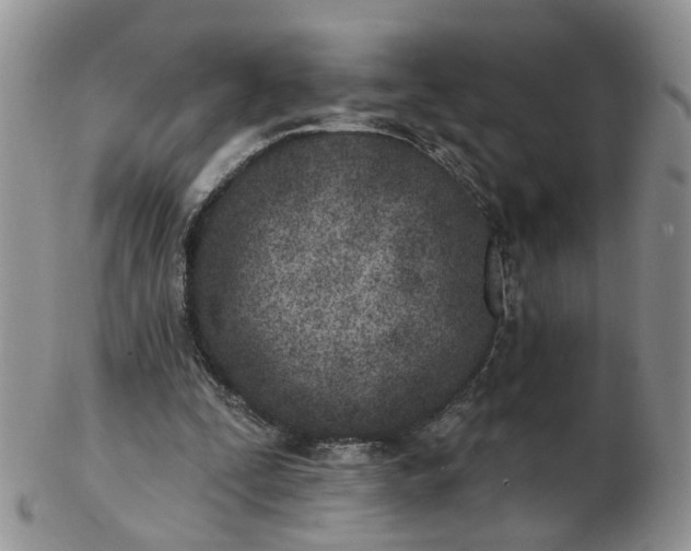 X0000103170295200809051728