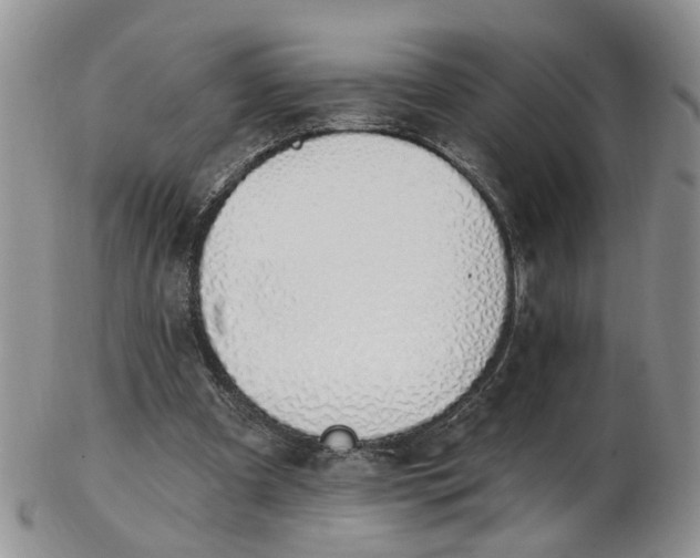 X0000103170297200809051728