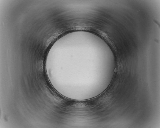 X0000103170299200809051727