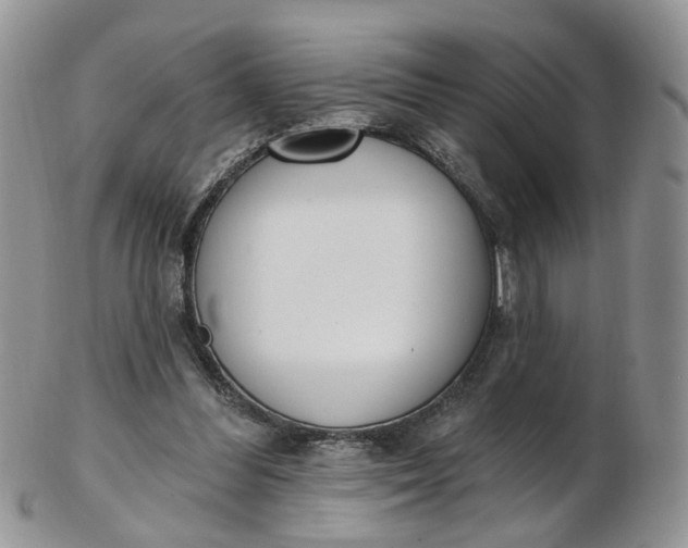 X0000103170300200809051727