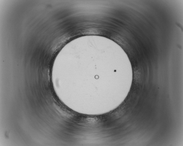 X0000103170302200809051727