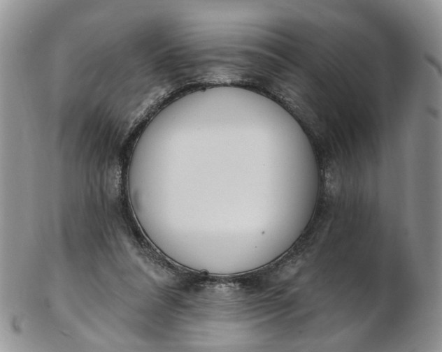 X0000103170304200809051727