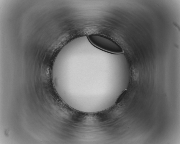 X0000103170308200809051727